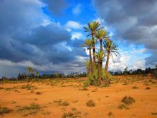 desert.jpg